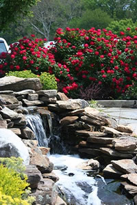 Aquatics Garden Waterfall